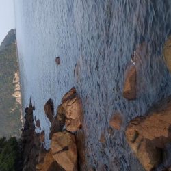 ロックフィッシュ