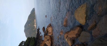 ロックフィッシュ