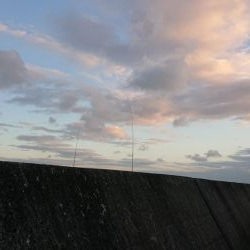 友人夫妻と青物狙い