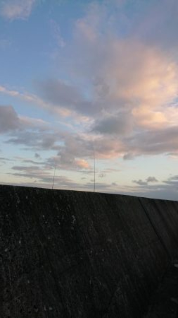 友人夫妻と青物狙い