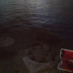 アオリイカ二杯