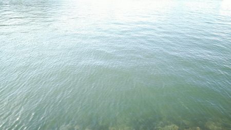 長潮でも釣れるみたい……