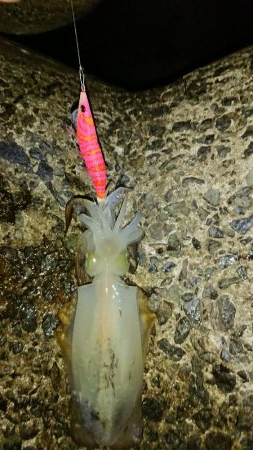 年々渋いかな？