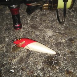 ぶらシーバス!!