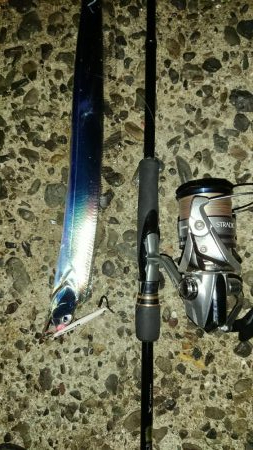 タチウオ、朝マズメ好調です!