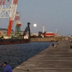 夕方２時間播磨新島キス調査