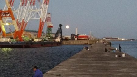 夕方２時間播磨新島キス調査