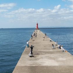 潮が動けばキスは釣れます