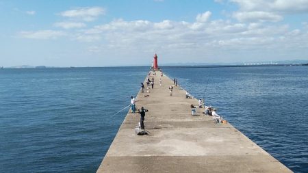 潮が動けばキスは釣れます