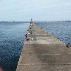 強風の播磨新島釣行