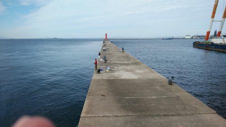 強風の播磨新島釣行