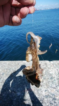 今日も厳しい釣行でした