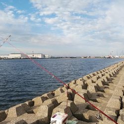 東二見西水路へキス調査