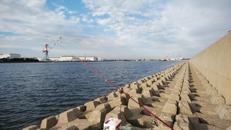 東二見西水路へキス調査