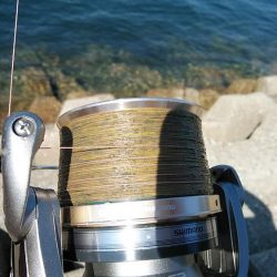 キスの引き釣りでカレイが釣れました