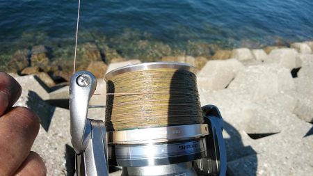 キスの引き釣りでカレイが釣れました