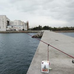 東二見白灯台波止へキス調査