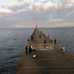 播磨新島のキスが復活