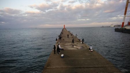 播磨新島のキスが復活