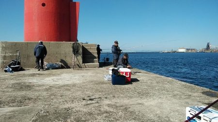 播磨新島のキス釣査