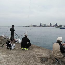 今日も播磨新島のキス釣査