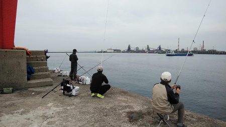 今日も播磨新島のキス釣査
