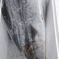 やったー！ルアーで初めて釣れました！