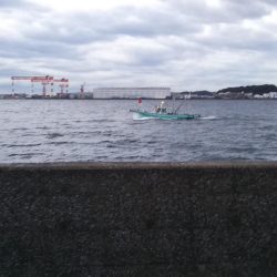 鱗付けはチビガシラ