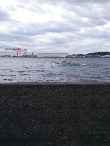 鱗付けはチビガシラ