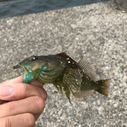 おじゃま虫　大集合