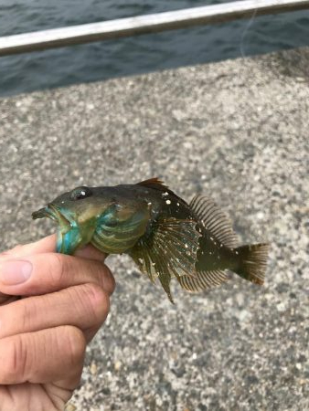 おじゃま虫　大集合