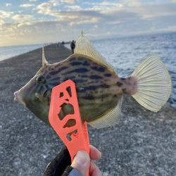 爆風ショアジギング+α