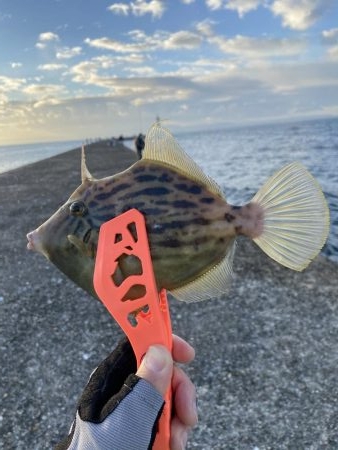 爆風ショアジギング+α