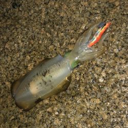 夜中の砂場遊び