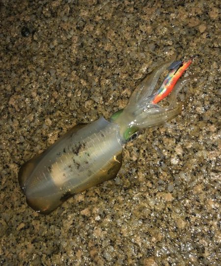 夜中の砂場遊び