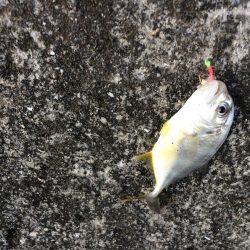 何をやってもダメ