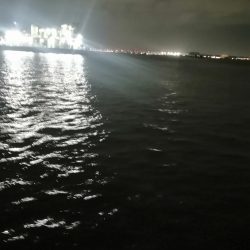 メタルジグアジング