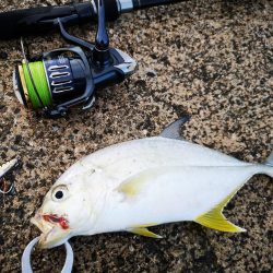 メッキ三種盛り