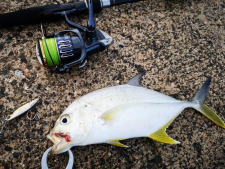 メッキ三種盛り