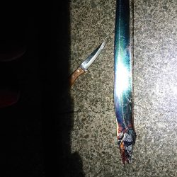 でかっ！！初めての、、、