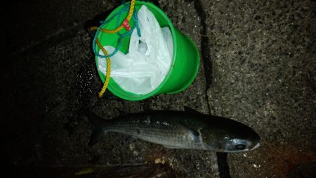 西国回りの序でに