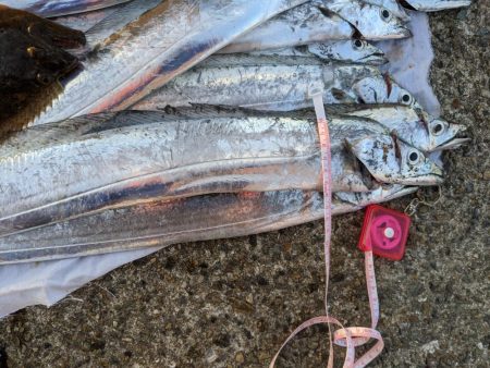 タチウオ夜釣り釣行