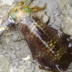 デイ調査～✌️