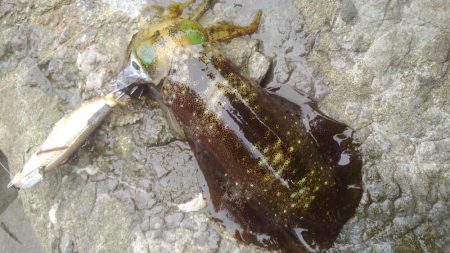 デイ調査～✌️…