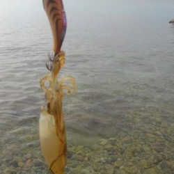 あれれ?厳しい~