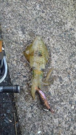 ポイント変えて？