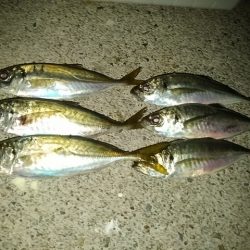 フロートゲーム