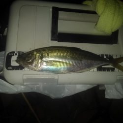 フロートゲーム