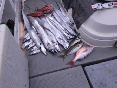 遊漁船SOUTH　10/3釣果