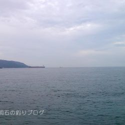 サビキと紀州釣りとイカ釣りと